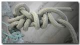 Knot