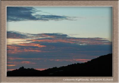 cameron_highlands_2004