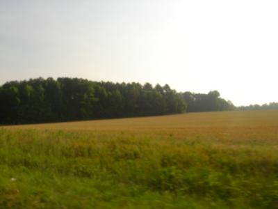 NC Crops.jpg