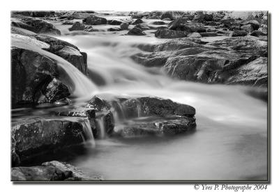 u44/yp8/medium/33091453.DSC_4587.jpg