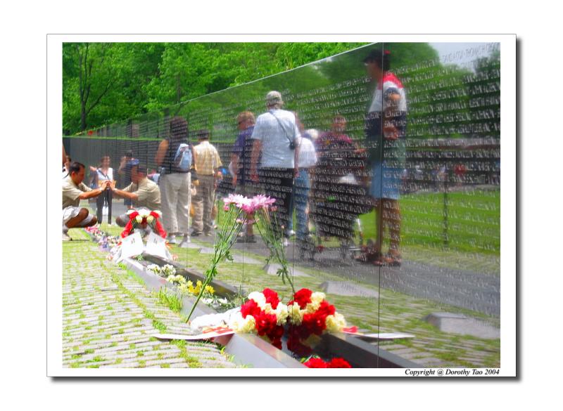 Reflection (Vietnam Memorial)