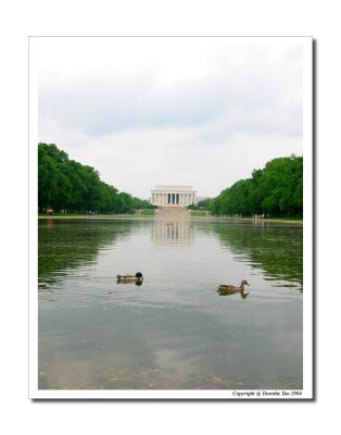 Smooth Sailing (Lincoln Memorial)