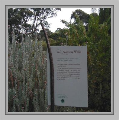 The Naming Walk sign