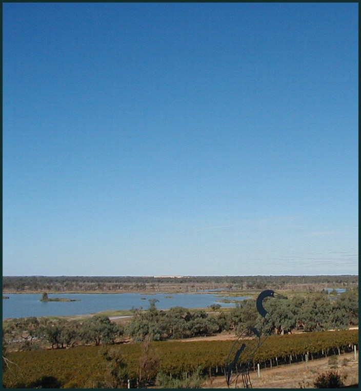 display vineyard