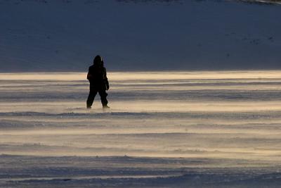 Arctic stroll