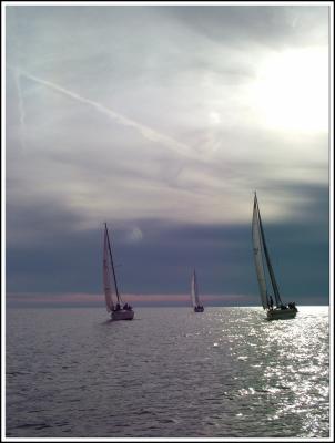 DSCF2892.jpg