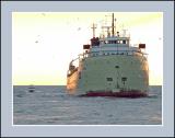 DSCF2883.jpg