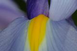 DSC_1474 copy.jpg
