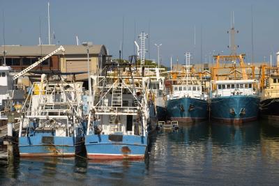 Fishing Boat Harbour, Fremantle, Western Australia.