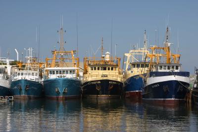 Fishing Boat Harbour, Fremantle, Western Australia.