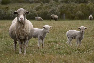 Yallingup, Western Australia.