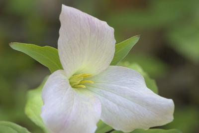CRW_6150.jpg