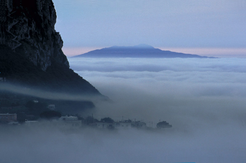 Foggy Capri<br>1994