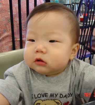 Ĵ翡 high chair   翵