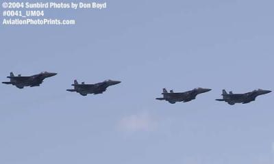 USAF F-15 Eagles at the Air & Sea Show military aviation stock photo #0041