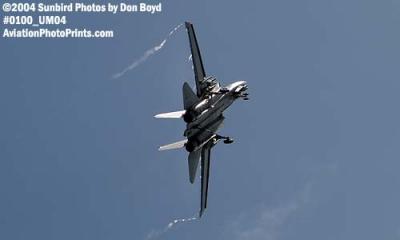 USN F-14 Tomcat military aviation air show stock photo #0100