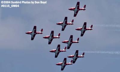 Canadian Forces Snowbirds at the Air & Sea Show military aviation stock photo #0115