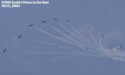 Canadian Forces Snowbirds at the Air & Sea Show military aviation stock photo #0116