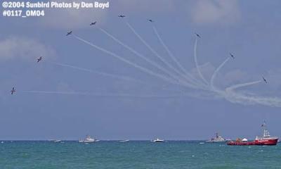 Canadian Forces Snowbirds at the Air & Sea Show military aviation stock photo #0117