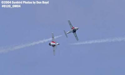 Canadian Forces Snowbirds at the Air & Sea Show military aviation stock photo #0120