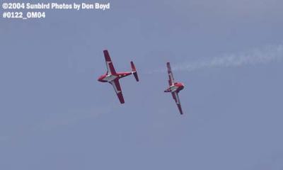 Canadian Forces Snowbirds at the Air & Sea Show military aviation stock photo #0122