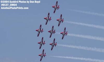 Canadian Forces Snowbirds at the Air & Sea Show military aviation stock photo #0127