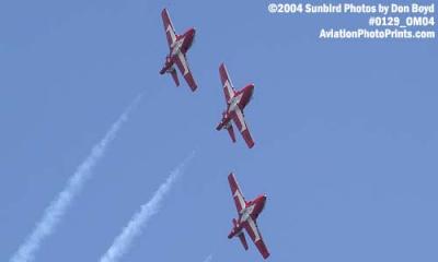 Canadian Forces Snowbirds at the Air & Sea Show military aviation stock photo #0129