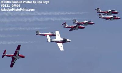 Canadian Forces Snowbirds at the Air & Sea Show military aviation stock photo #0131
