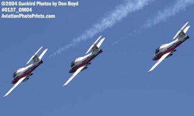 Canadian Forces Snowbirds at the Air & Sea Show military aviation stock photo #0137