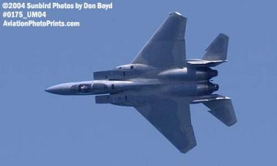 USAF F-15 Eagle #81-022 at the Air & Sea Show - military aviation air show stock photo #0175