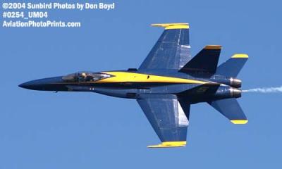USN Blue Angels F/A-18 Hornet #5 military aviation air show stock photo #0254