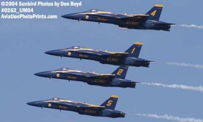 USN Blue Angels F/A-18 Hornets military aviation air show stock photo #0262