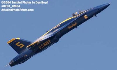 USN Blue Angels F/A-18 Hornet #5 military aviation air show stock photo #0263