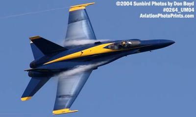 USN Blue Angels F/A-18 Hornet #5 military aviation air show stock photo #0264