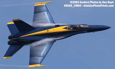 USN Blue Angels F/A-18 Hornet #5 military aviation air show stock photo #0265