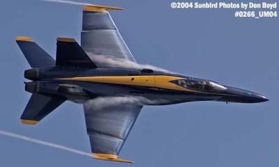 USN Blue Angels F/A-18 Hornet #5 military aviation air show stock photo #0266