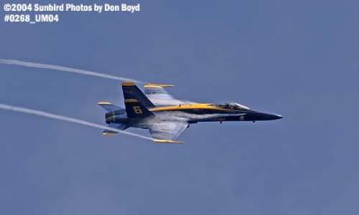 USN Blue Angels F/A-18 Hornet #6 military aviation air show stock photo #0268