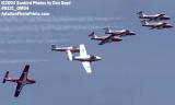 Canadian Forces Snowbirds at the Air & Sea Show military aviation stock photo #0131