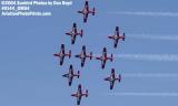Canadian Forces Snowbirds at the Air & Sea Show military aviation stock photo #0144