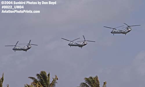 USMC CH-46E Sea Knights military aviation air show stock photo #0022