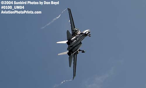 USN F-14 Tomcat military aviation air show stock photo #0100