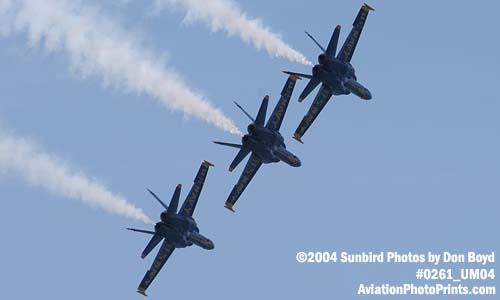 USN Blue Angels F/A-18 Hornets military aviation air show stock photo #0261