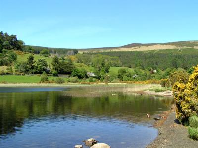 Lower Lough