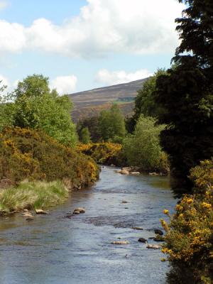 River running through Glendalough