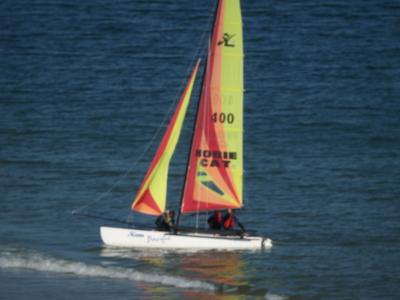 u45/ajwh/medium/29241304.P5160098.jpg
