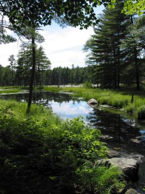 Quabbin Pond 0063