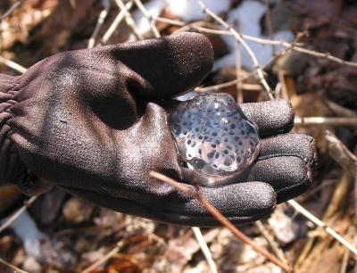 2003-04-06: ARNWR Vernal Pools