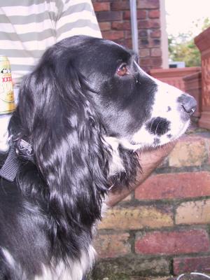 155-5591_IMG.jpg