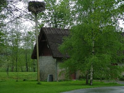 006 one with a nest of white stork.jpg