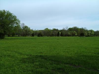 014 a scene from the Matsalu region.jpg